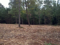 Massie Contracting Land Clearing Central Virginia