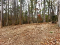 Massie Contracting Land Clearing Richmond VA