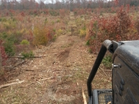 Massie Contracting Land Clearing Equipment Richmond VA